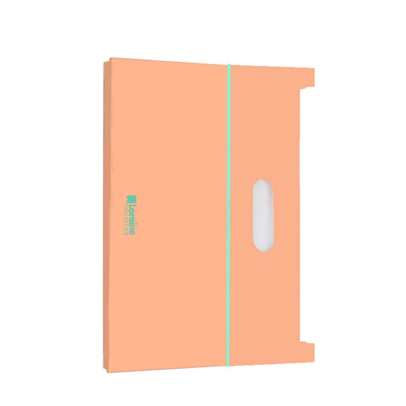 Sworld A4 Expanding File DC2205